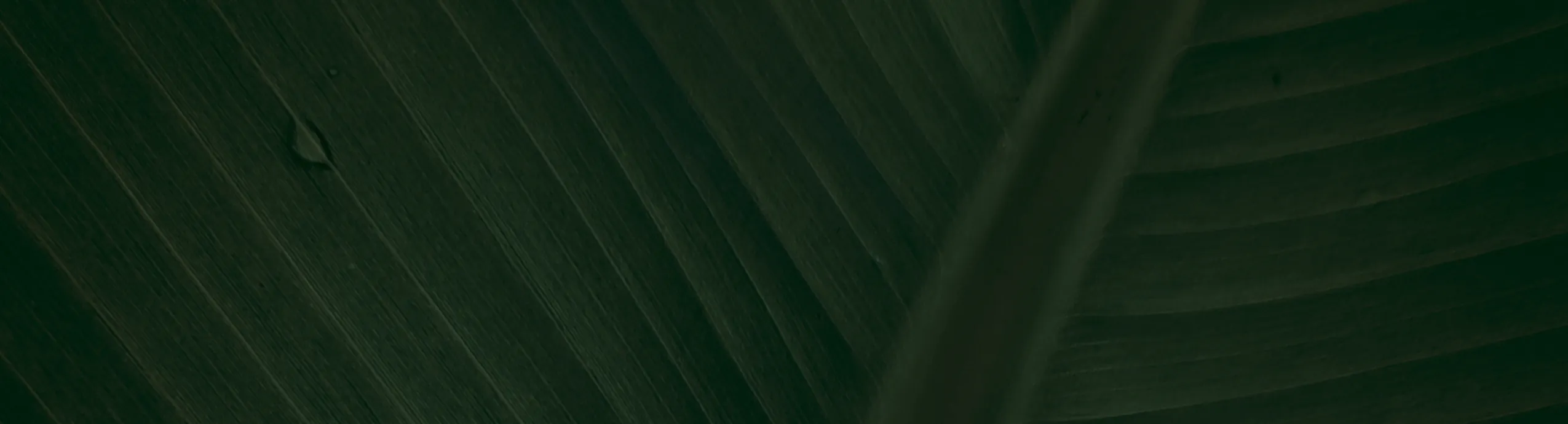 hero-image_optimized Bio-based Customized to meet your leather fabric requirements